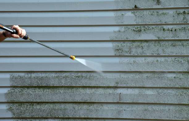 Best Driveway Pressure Washing  in Sparta, GA